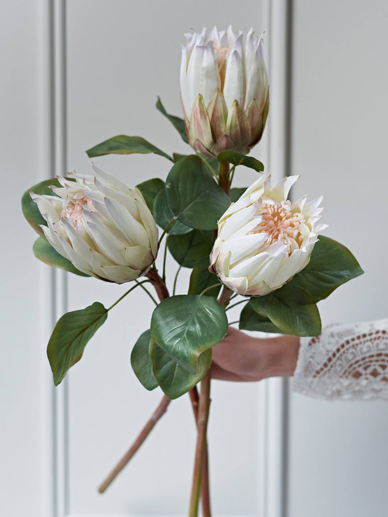 King Protea Stem - White Flowers & Foliage BRISSI