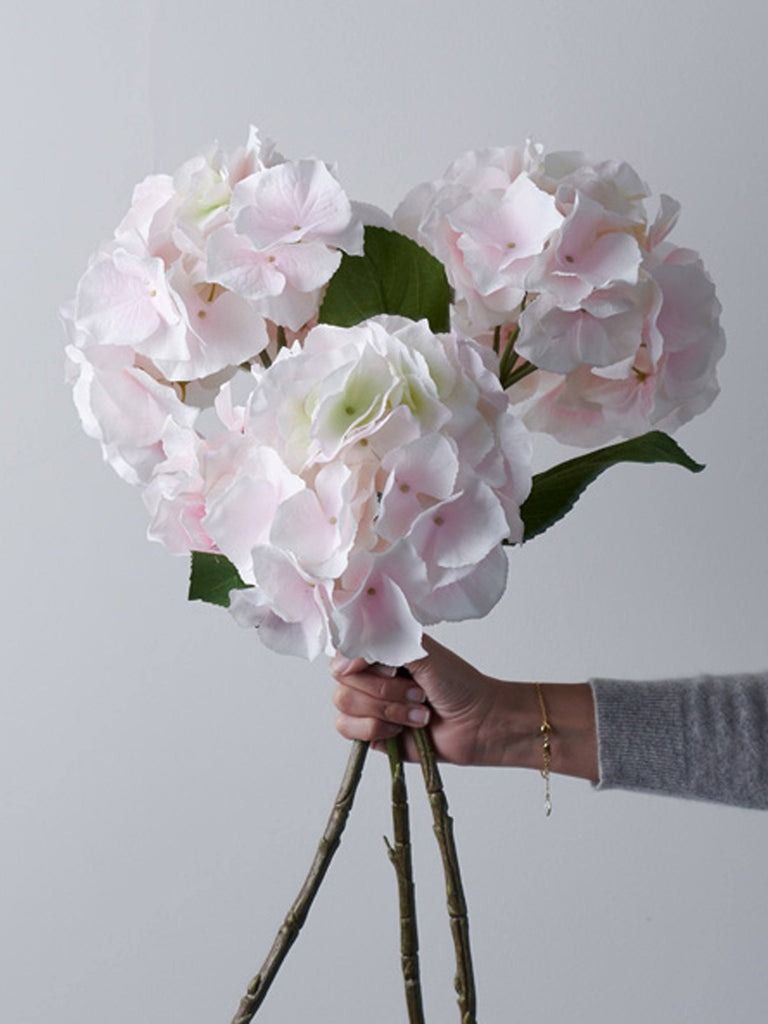 Large Hydrangea - Blush Pink Flowers & Foliage BRISSI