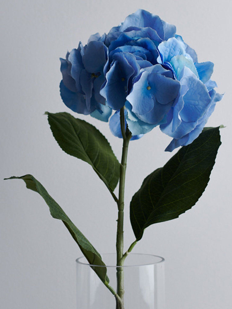 Large Hydrangea Blue Flowers & Foliage BRISSI