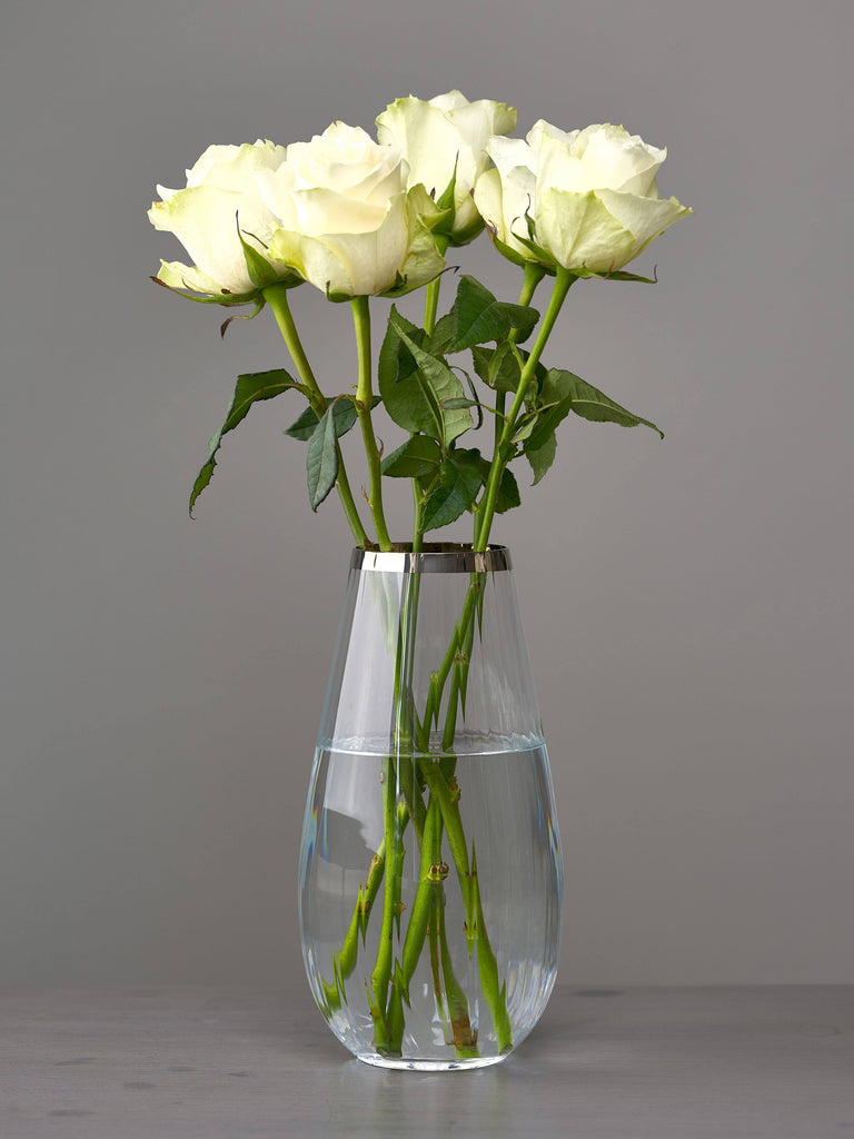 Venezia Crystal Vase with Silver Rim - Small Vases BRISSI