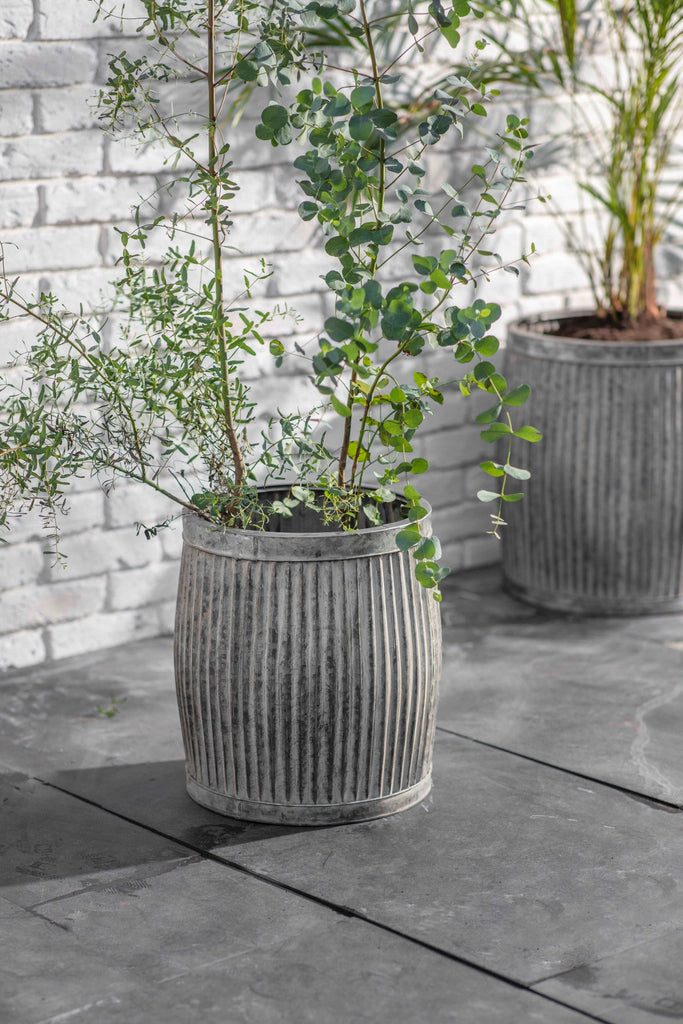 Vence Tall Planters Set of 2 Garden Accessories BRISSI 