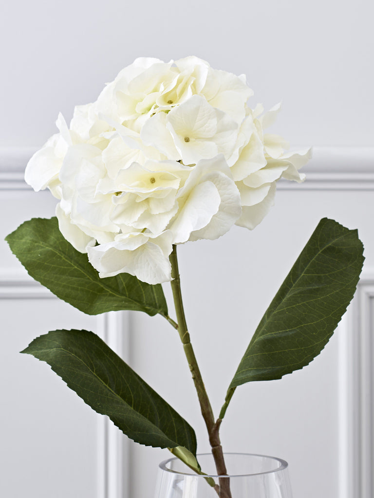 Large Hydrangea - White Flowers & Foliage BRISSI