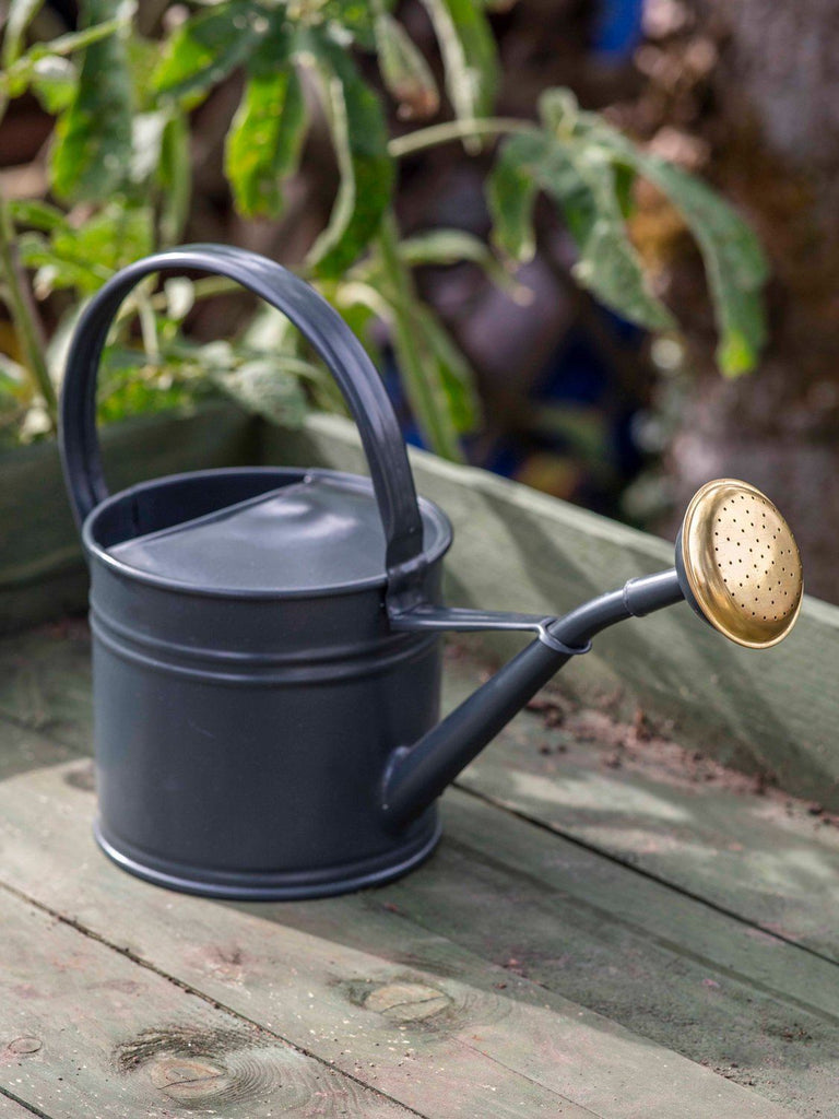 Watering Can 1.5L Dark Grey Garden Accessories, Garden BRISSI 
